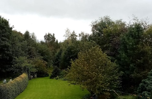 Killaloe Bed & Breakfast | Blossom Hill Bed and Breakfast