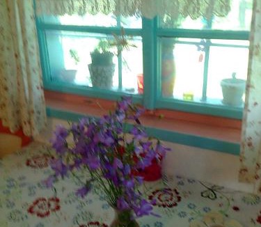 Podvrh House | Blue Cottage