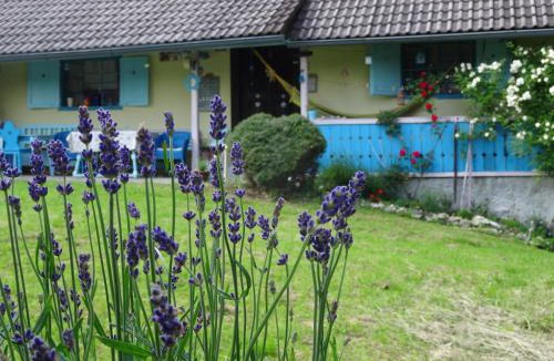 Podvrh House | Blue Cottage