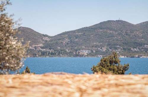 Samos House | Blue Garden Samos Apartments