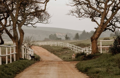 Stanford House | Blue Gum Country Estate