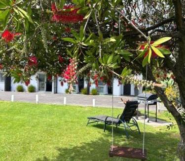 Mount Maunganui Hotel | Blue Haven Motel