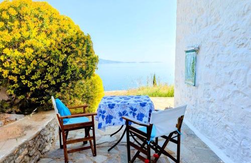 Hydra House | Blue Horizon