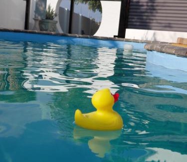 Gobabis Bed & Breakfast | Blue Olive B&B