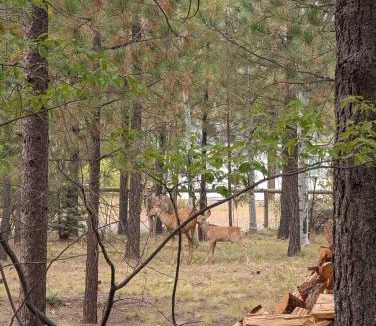 Three Rivers House | Blue Top Cabin Bend Sunriver Log Hot Tub Fire Pit Family Dog Horse Friendly Public Trail Access