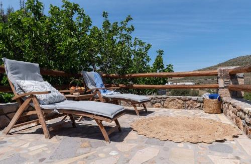 Skala Apartment | Blue Vista Patmos pool studio