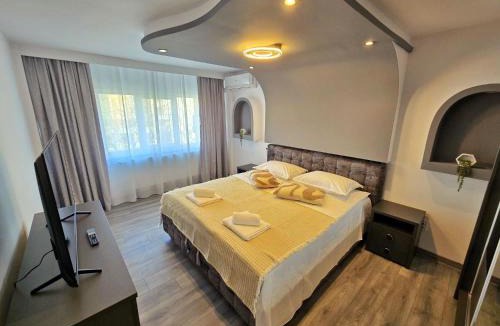 Orastie Apartment | BlueBee Hive