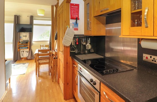 Chapel Stile Cottage | Bluebells