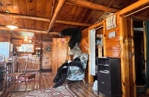 Harrison Cabin | Bluegill Lake front, Up North, cozy peaceful getaway. 2-bedroom cabin. Rustic.