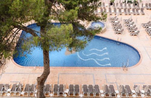 Es Canar Hotel | BLUESEA Coral Beach