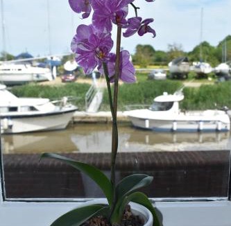 Sandwich Apartment | Boatyard View