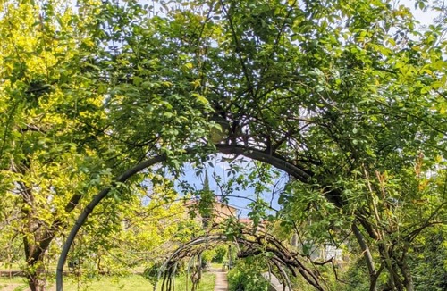 Bocca di Magra Apartment | BOCCAMONTE #3 Houses with a view in a private wood, walking distance to the sea
