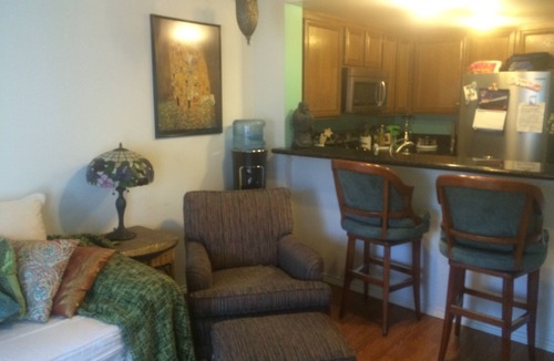 Downtown Long Beach Condo | Boho Ocean Condo Walkable to Beach, Pier, Convention Center,Restaurants,Bars etc
