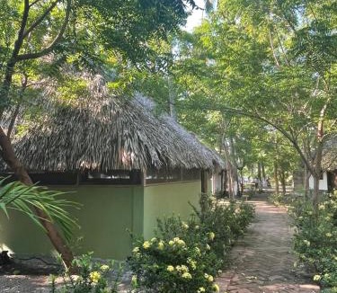 Tonala House | Bokané