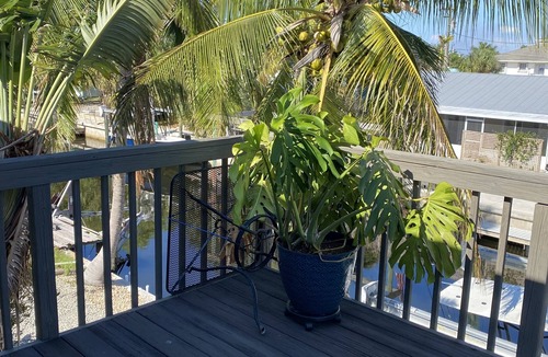 Bokeelia House | Bokellia Tarpon Retreat