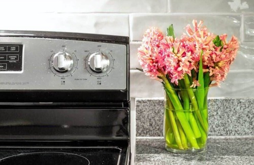 Downtown Indianapolis Apartment | BOLD 2BR 2BA In The Block Apartment by CozySuites