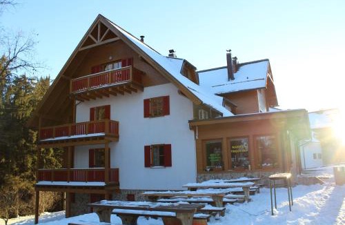 Hocko Pohorje Apartment | Bolfenk B6