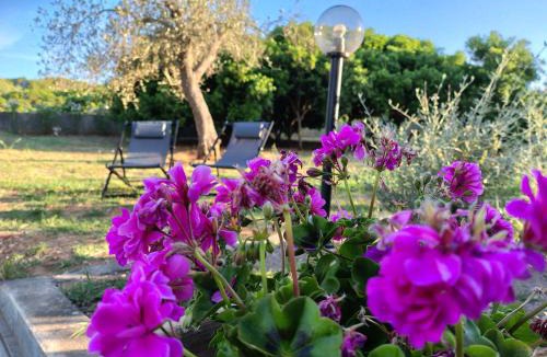 Alghero Apartment | Bombarde Natural House