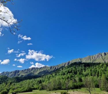 Taipana Other | BONIS - Nidi nel Bosco