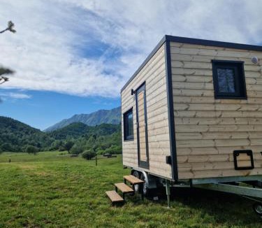 Taipana Other | BONIS - Nidi nel Bosco
