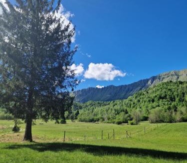 Taipana Other | BONIS - Nidi nel Bosco