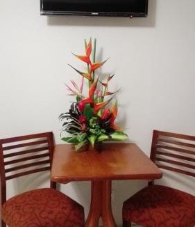Iquitos Hotel | Bora Hotel