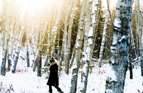 Mount Lorne Cabin | Boreale Ranch