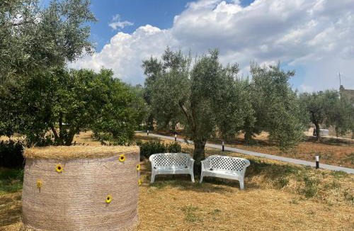 Roccazzo House | Borgo Bortolone