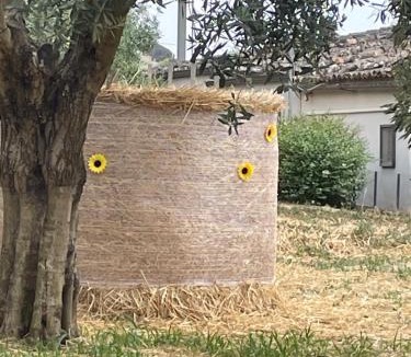Roccazzo House | Borgo Bortolone