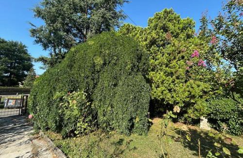 Canali House | Borgo Caprari
