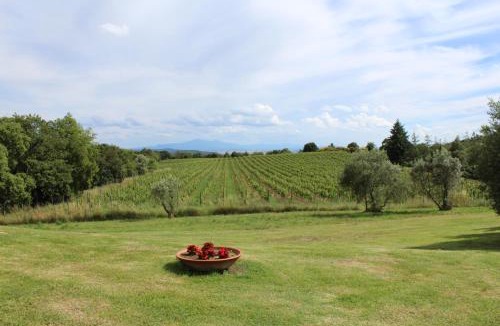 Rapolano Terme House | BORGO MONTEMAGGIORE