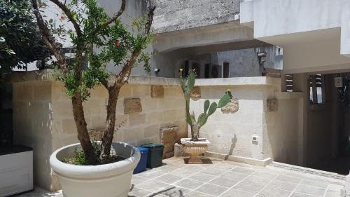 Mesagne Bed & Breakfast | Borgo Sofia Bed and Breakfast