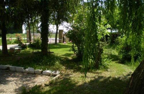 Viconovo House | Borgo Tarapino Campagna