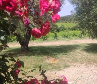 Montalcino House | Borgo Villa a Tolli