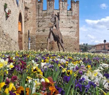 Soave House | BorgoAntico Affittacamere