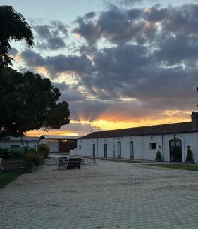 San Giovanni Rotondo House | Bosco Elda