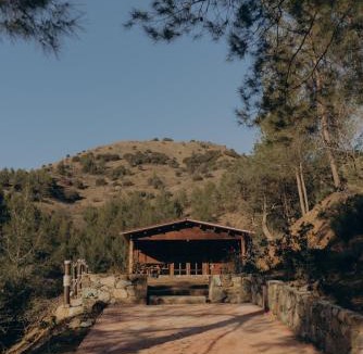 Lemithou Other | Bosco Paradiso