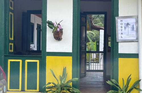 Pijao House | BOSQUE DE NIEBLA