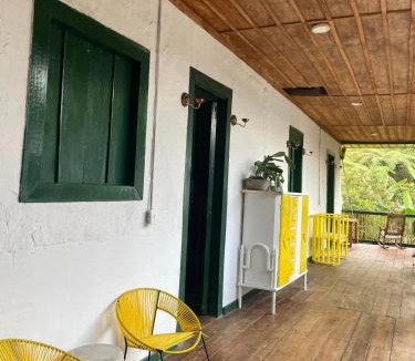 Pijao House | BOSQUE DE NIEBLA