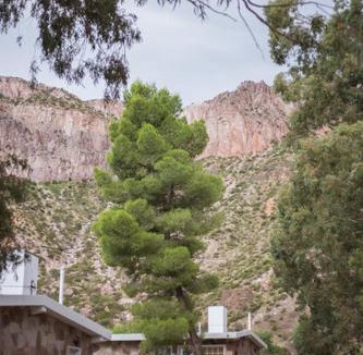 Rincon del Atuel Cabin | Bosque Divino Cabañas & Suites