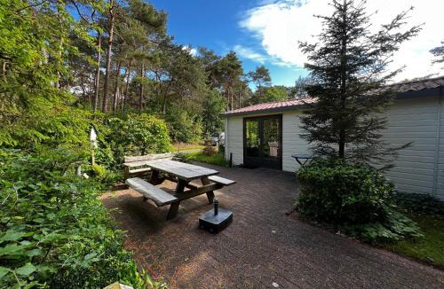 Diever Ski Chalet | Boszicht