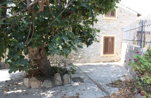 Villanovafranca House | Bouganville