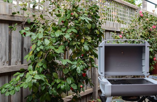 Sandringham House | BOUTIQUE STAYS - Sandy Haven A