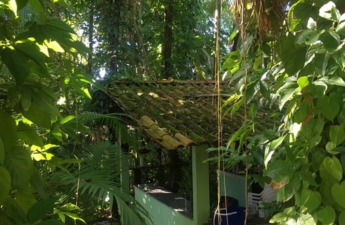 Vila da Gloria House | Family house 40m from Babitonga Bay - Kitchen open to the forest!