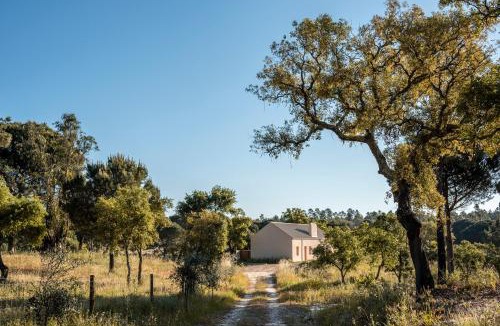 Erra House | Braciosa
