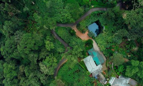 Pallivasal Hotel | Bracknell Forest Munnar