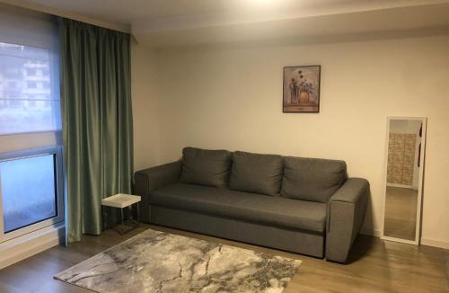 Sangeorz-Bai House | Bradul