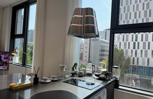 Gwanghui-dong Apartment | Brand New Luxury Apartment, Euljiro-5ga 1-bedroom in Seoul