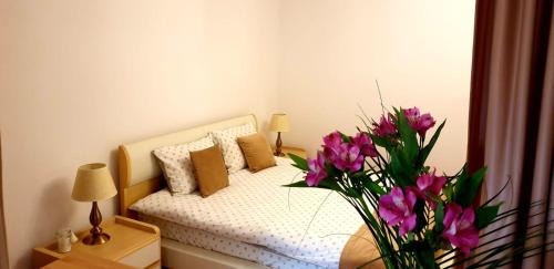 Centrul Nou Apartment | Brasov Studio