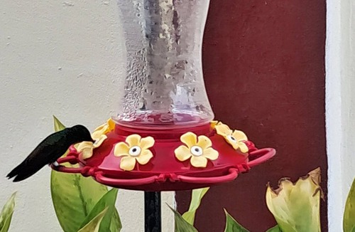 Bon Accord Village Apartment | Breadfruit Lodge Bago
